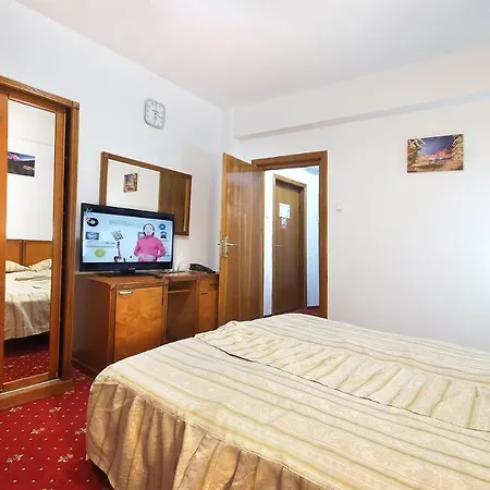 Guest house Teleconstructia